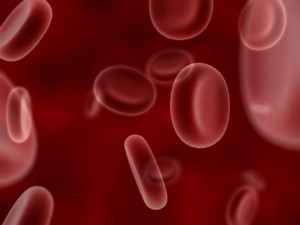 Blood Biology | 1600 x 1200 | Download | Close