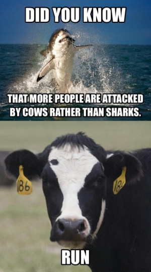animals animals cows funny pics funny pictures humor lol sharks leave ...