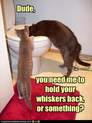 leave you with these day after pics i was a real party animal ...