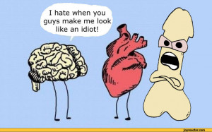 hate when you guys make me look like an idiot!,funny pictures,auto