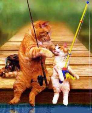 funny fishing pictures