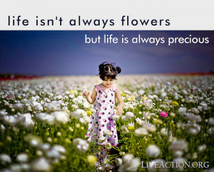 See the full collection of over 50 pro-life graphics here .