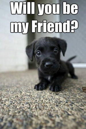 ... Christian Quotes, Christian Friendship Quotes, My Friends, Puppies
