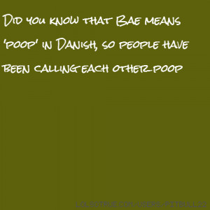 Did you know that Bae means 'poop' in Danish, so people have been ...