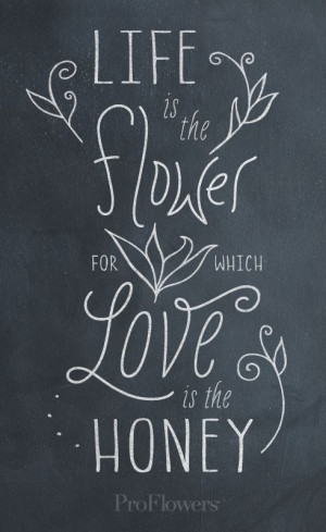 love is the honey #quote