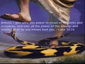 ... the power of the enemy and no harm shall come to you luke 10 19