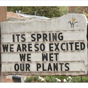 its spring we are so excited we wet our plants quote shellys_london