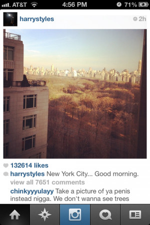 harry's instagram comments are the best source of laughs tbh