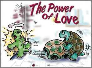 turtle love