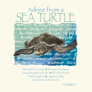 Advice from a sea turtle