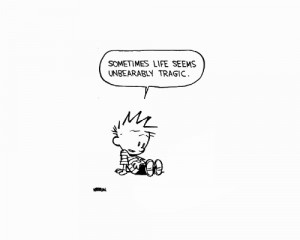Calvin And Hobbes Quotes On Love: Calvin & Hobbes The Curious Brain ...