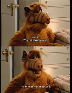 Alf! I loved this show as a child! HAPPY ALF CU!