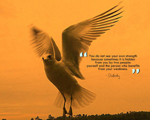 Daily Motivational Quotes “Strength Quotes”