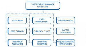 Financial Manager Responsibilities To the finance director,
