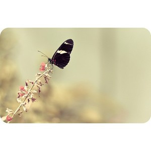 ... : quotes, beautiful photography Bookmarks #1782539 - Picture For Me