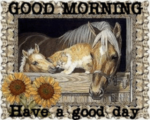 Good Morning - Have A Good Day Horse Graphic