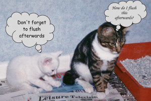 How often do you clean the cat litter tray? Montage by Michael from a ...