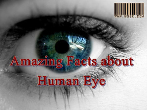 eye,human eyes,facts