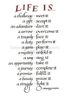 ... Image of calligraphy P8-56 Life is a Challenge, a Gift, an Adventure