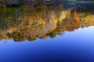 Fall Reflections Log Lake