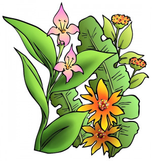 Tropical Flower Drawings