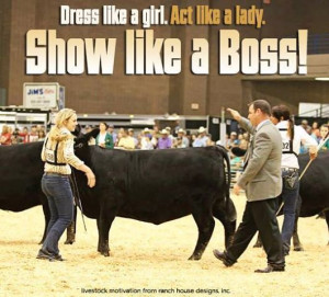 Show like a boss! #Fluffy Cows #RHD #AngusJuniorNationals # ...