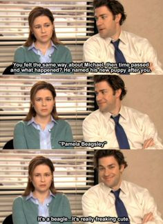 ... Jim and Pam so when I want an Office fix I tend to go to my stand bys