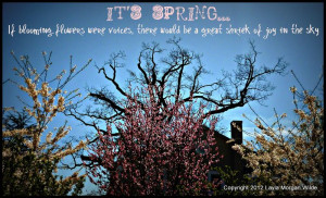 Spring Quotes
