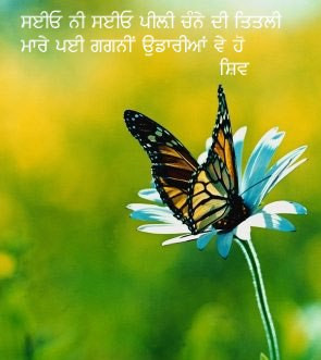 Funny Quotes For Facebook In Punjabi