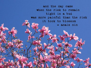 ... it took | SALE Magnolia Photograph with Anais Nin Quote by fiercegreen