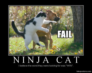 Ninja Cat - Demotivational Poster