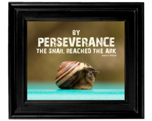perseverance-quote