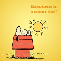 ... sunny day more friends quotes charli brown happiness happy is sunny