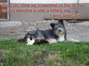 More Quotes Pictures Under: Belief Quotes