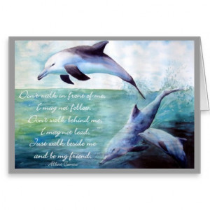 dolphin with friendship quote card