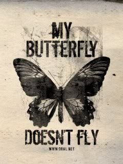 Butterfly Quotes (49)