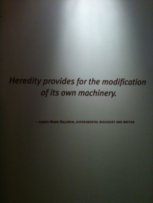 ... Museum. This quote from James Mark Baldwin is cause for reflection