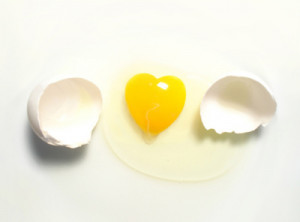 ... eggs for their cholesterol. It already has its own internal supply