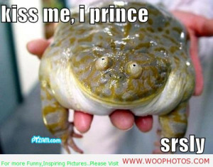 Kiss me, I am the prince toad!