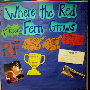Where The Red Fern Grows640 640 Pixel, Middle Schools, Reading ...
