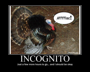 Funny Thanksgiving Pictures (16 Pics)