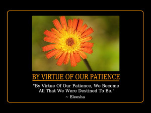 Patience Quotes and Affirmations by Eleesha [www.eleesha.com]