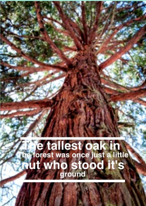 Tree quote