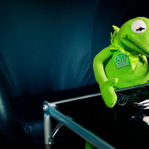 Related Pictures 2560x1600 kermit the frog 1920x1200 wallpaper ...