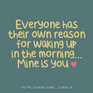 Mineisyours Pinquotes