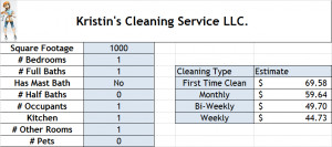 Average Cost for Cleaning Services