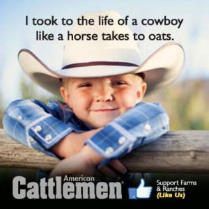 American Cattlemen