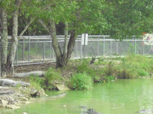 Funny Quotes Contact Us DMCA Notice