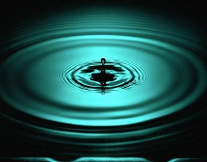 The Shiny Pearl Water Drop