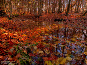 Click here for a larger view Photo courtesy of John Nyberg .